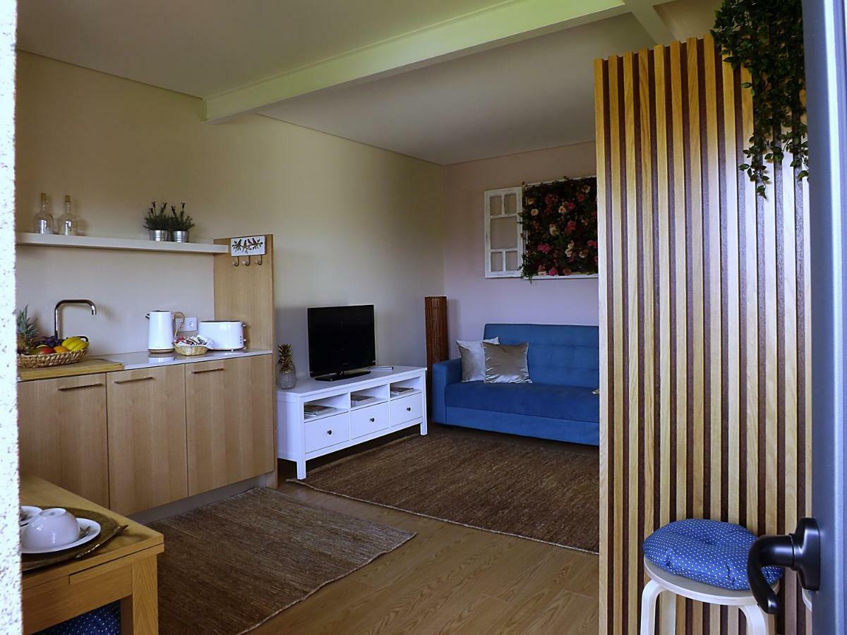 Casa Maximo Daire Penafiel Dış mekan fotoğraf