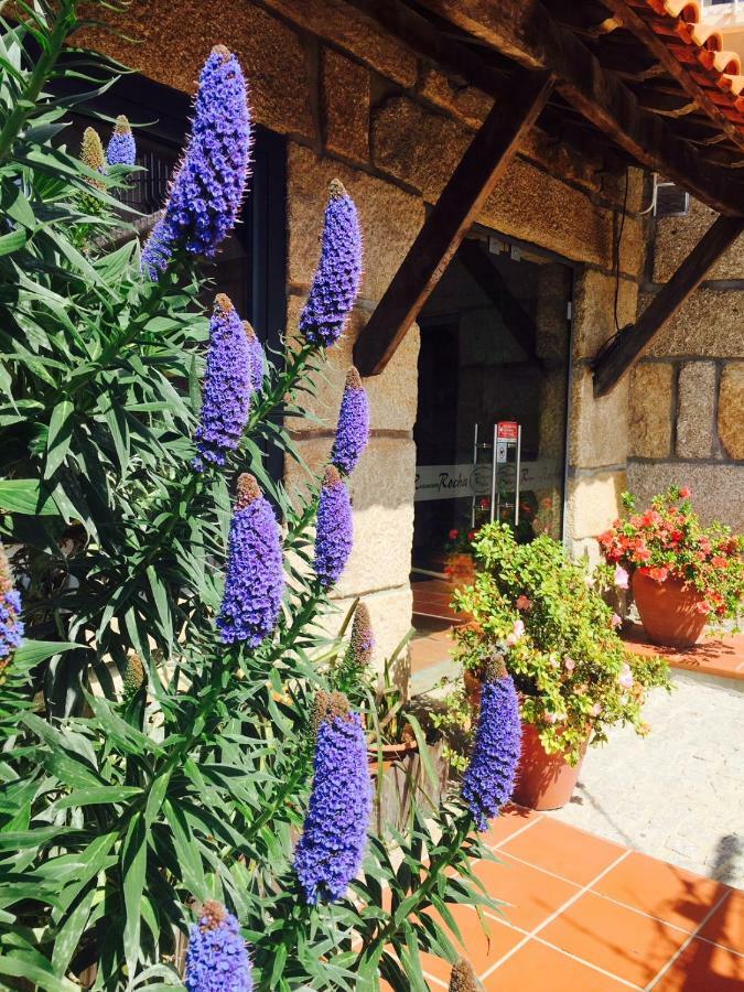 Casa Maximo Daire Penafiel Dış mekan fotoğraf