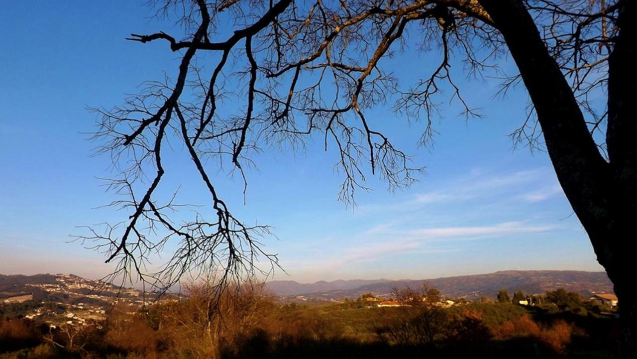 Casa Maximo Daire Penafiel Dış mekan fotoğraf